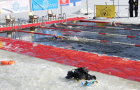 Чемпионат Эстонии -  Winter swimming festival PIRITA OPEN 2013 